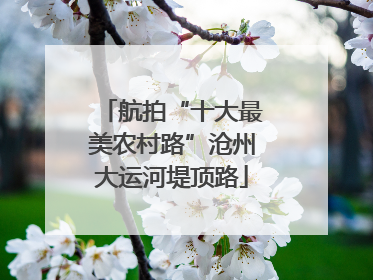 航拍“十大最美农村路”沧州大运河堤顶路