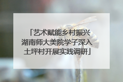 艺术赋能乡村振兴 湖南师大美院学子深入土坪村开展实践调研