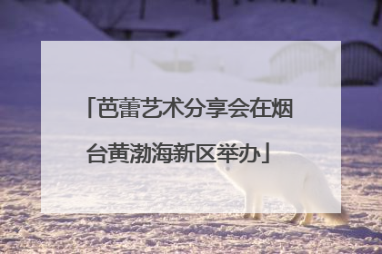 芭蕾艺术分享会在烟台黄渤海新区举办