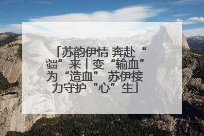 苏韵伊情 奔赴“疆”来丨变“输血”为“造血” 苏伊接力守护“心”生
