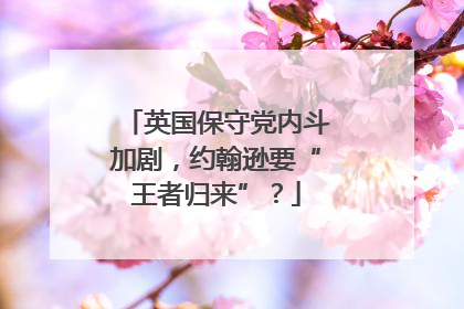 英国保守党内斗加剧，约翰逊要“王者归来”？