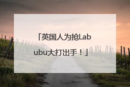 英国人为抢Labubu大打出手！