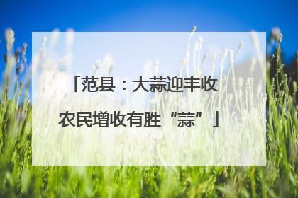 范县：大蒜迎丰收 农民增收有胜“蒜”