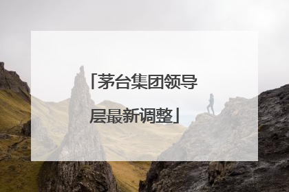茅台集团领导层最新调整
