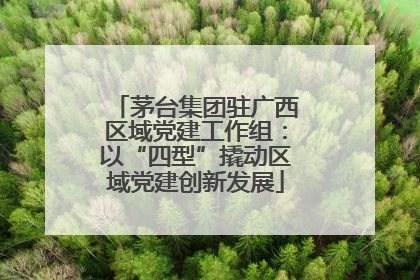 茅台集团驻广西区域党建工作组：以“四型”撬动区域党建创新发展