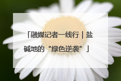 融媒记者一线行｜盐碱地的“绿色逆袭”