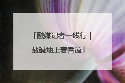 融媒记者一线行｜盐碱地上麦香溢