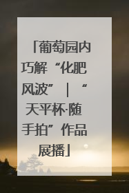 葡萄园内巧解“化肥风波”｜“天平杯·随手拍”作品展播