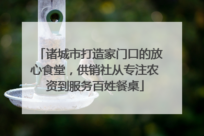 诸城市打造家门口的放心食堂，供销社从专注农资到服务百姓餐桌