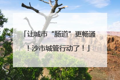 让城市“肠道”更畅通！沙市城管行动了！