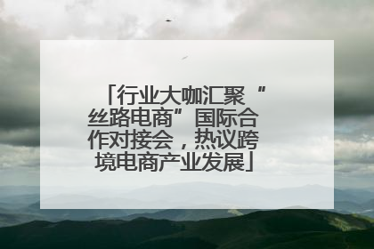 行业大咖汇聚“丝路电商”国际合作对接会，热议跨境电商产业发展