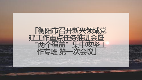 衡阳市召开新兴领域党建工作重点任务推进会暨“两个覆盖”集中攻坚工作专班 第一次会议