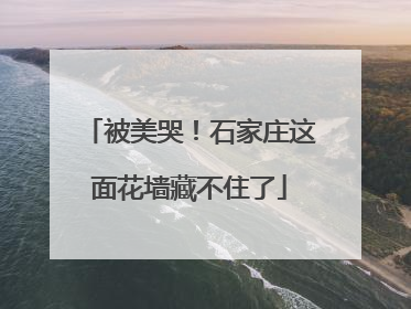 被美哭！石家庄这面花墙藏不住了