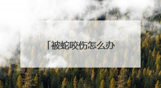 被蛇咬伤怎么办？青岛抗蛇毒血清医院名单及急救指南请收好