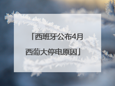 西班牙公布4月西葡大停电原因
