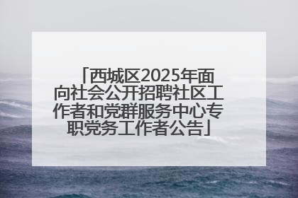 西城区2025年面向社会公开招聘社区工作者和党群服务中心专职党务工作者公告