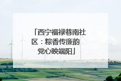 西宁福禄巷南社区：粽香传廉韵 党心映端阳