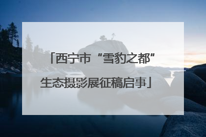 西宁市“雪豹之都”生态摄影展征稿启事