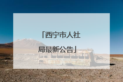 西宁市人社局最新公告