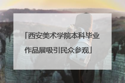 西安美术学院本科毕业作品展吸引民众参观
