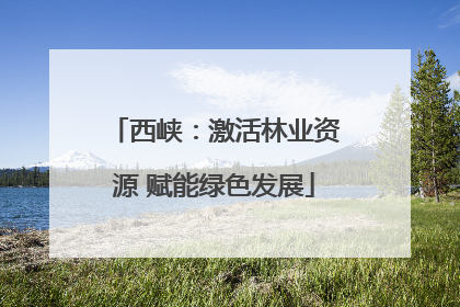 西峡：激活林业资源 赋能绿色发展