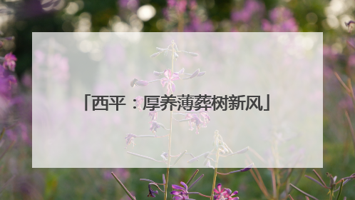 西平：厚养薄葬树新风