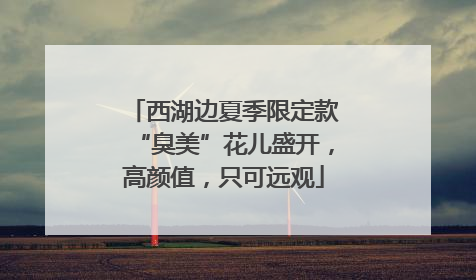 西湖边夏季限定款“臭美”花儿盛开，高颜值，只可远观