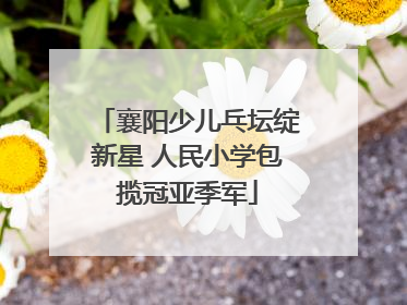 襄阳少儿乓坛绽新星 人民小学包揽冠亚季军