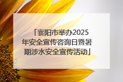 襄阳市举办2025年安全宣传咨询日暨暑期涉水安全宣传活动
