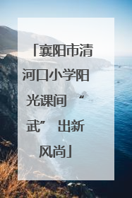 襄阳市清河口小学阳光课间 “武” 出新风尚