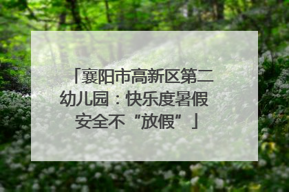 襄阳市高新区第二幼儿园：快乐度暑假 安全不“放假”