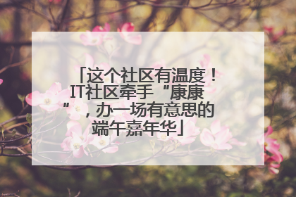 这个社区有温度！IT社区牵手“康康”，办一场有意思的端午嘉年华