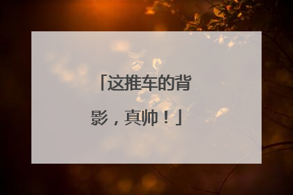 这推车的背影，真帅！