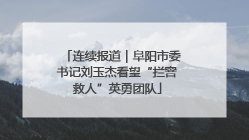 连续报道｜阜阳市委书记刘玉杰看望“拦窨救人”英勇团队