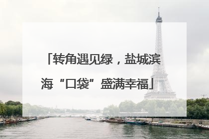转角遇见绿，盐城滨海“口袋”盛满幸福