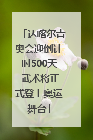 达喀尔青奥会迎倒计时500天 武术将正式登上奥运舞台