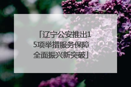 辽宁公安推出15项举措服务保障全面振兴新突破
