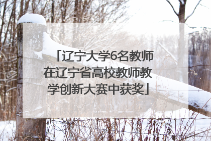 辽宁大学6名教师在辽宁省高校教师教学创新大赛中获奖