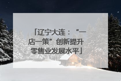 辽宁大连：“一店一策”创新提升零售业发展水平