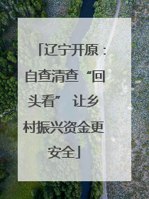 辽宁开原：自查清查“回头看” 让乡村振兴资金更安全