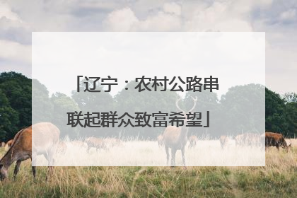辽宁：农村公路串联起群众致富希望