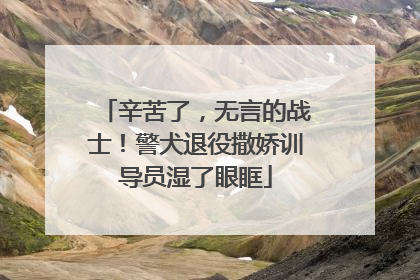 辛苦了，无言的战士！警犬退役撒娇训导员湿了眼眶