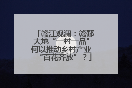 赣江观澜：赣鄱大地“一村一品”何以推动乡村产业“百花齐放”？