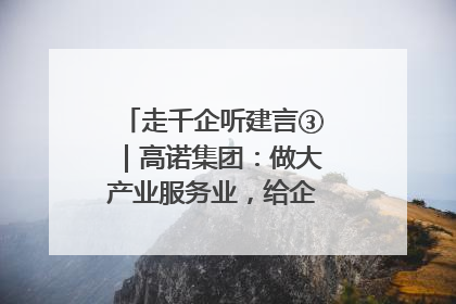 走千企听建言③｜高诺集团：做大产业服务业，给企业更多创新空间
