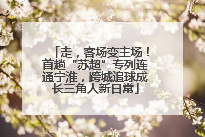 走，客场变主场！首趟“苏超”专列连通宁淮，跨城追球成长三角人新日常