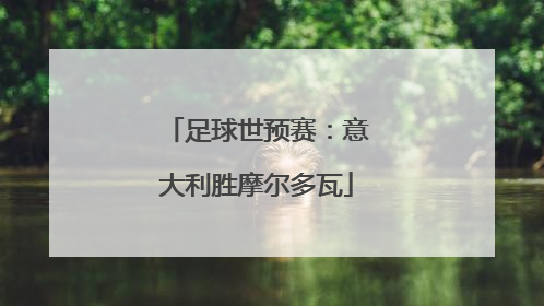 足球世预赛：意大利胜摩尔多瓦