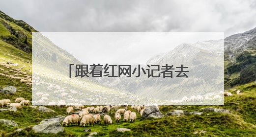 跟着红网小记者去采访，这堂穿越时空的新闻课太有料