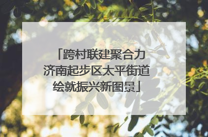 跨村联建聚合力 济南起步区太平街道绘就振兴新图景
