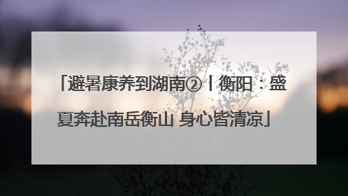 避暑康养到湖南②丨衡阳：盛夏奔赴南岳衡山 身心皆清凉