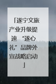 遂宁文旅产业升级提速 “遂心礼”品牌外宣战略启动